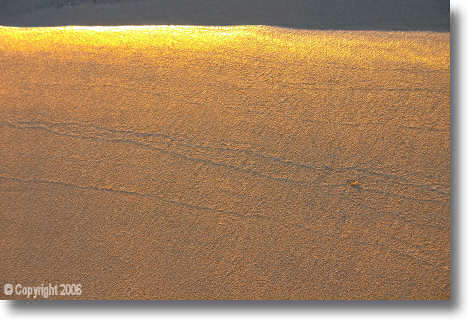 Golden Sand